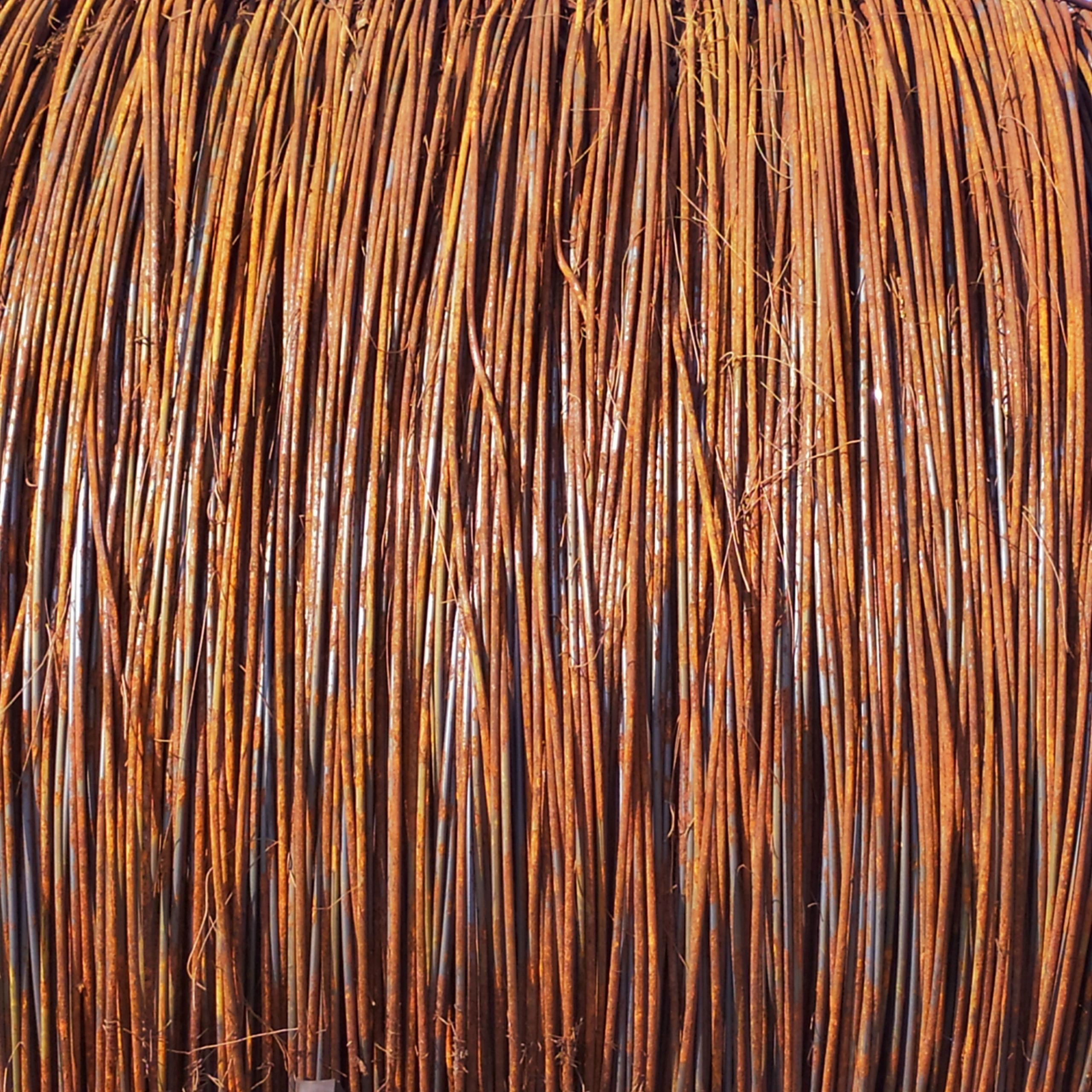 rusted wire coil